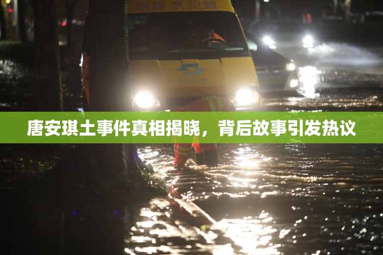 唐安琪土事件真相揭晓，背后故事引发热议