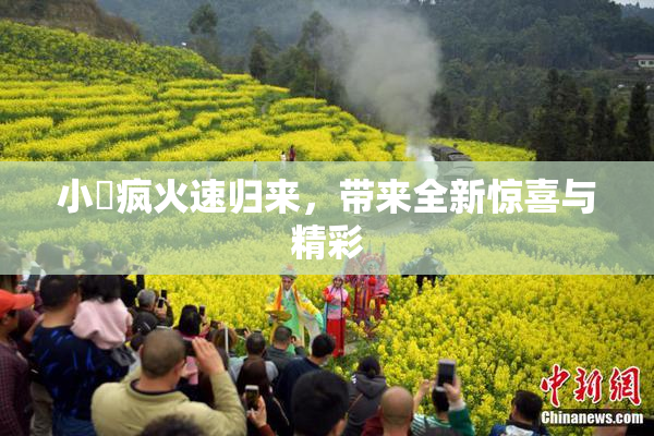 小泬疯火速归来，带来全新惊喜与精彩