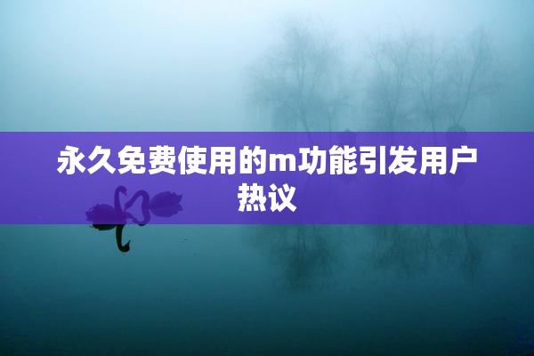 永久免费使用的m功能引发用户热议