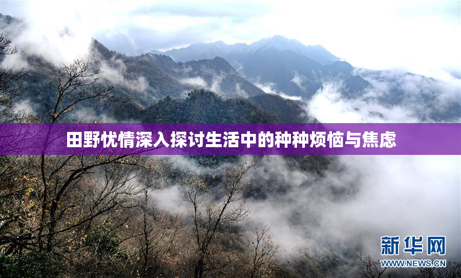 田野忧情深入探讨生活中的种种烦恼与焦虑