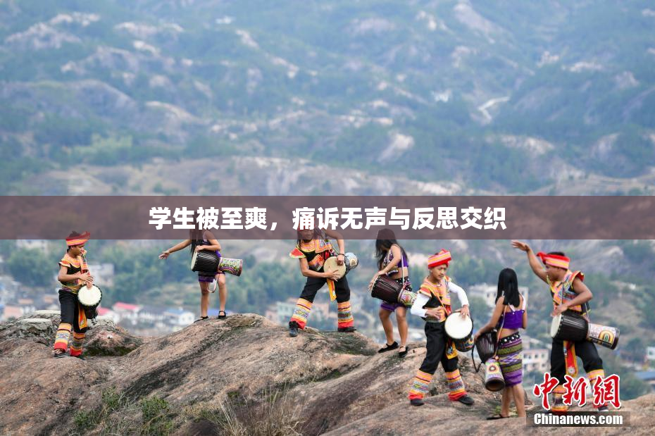 学生被至爽，痛诉无声与反思交织