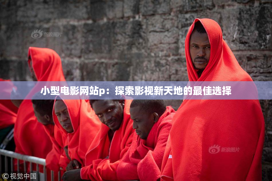 小型电影网站p：探索影视新天地的最佳选择