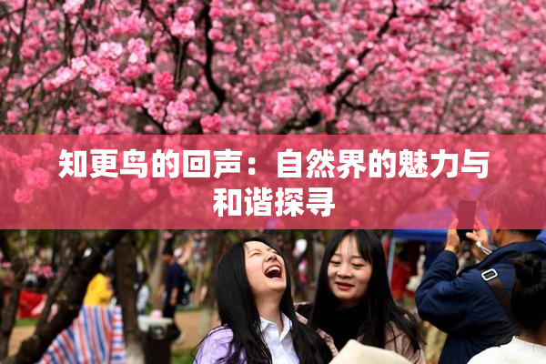 知更鸟的回声：自然界的魅力与和谐探寻