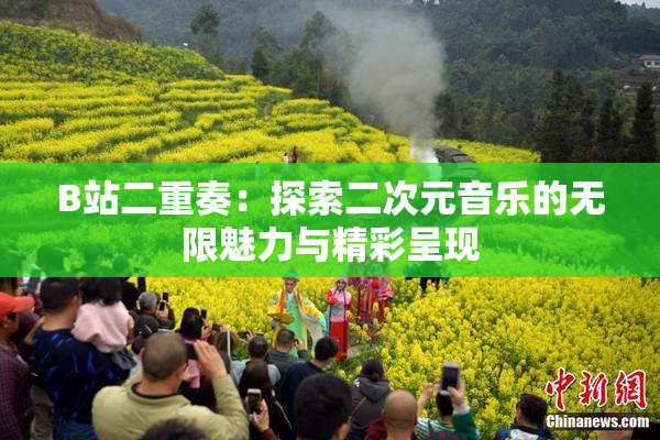 B站二重奏：探索二次元音乐的无限魅力与精彩呈现