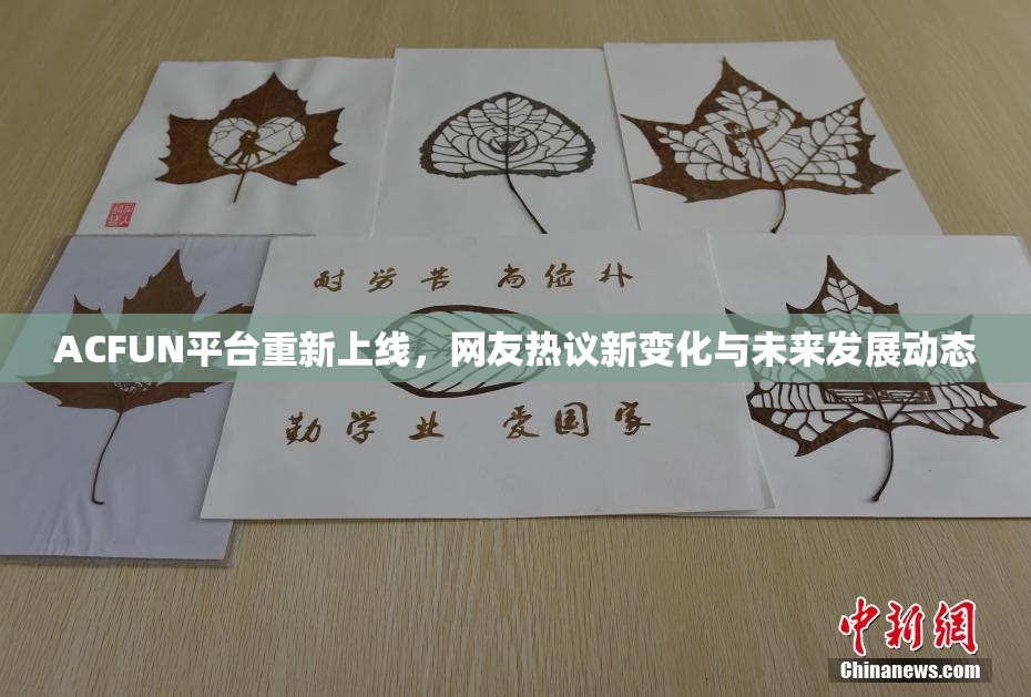 ACFUN平台重新上线，网友热议新变化与未来发展动态