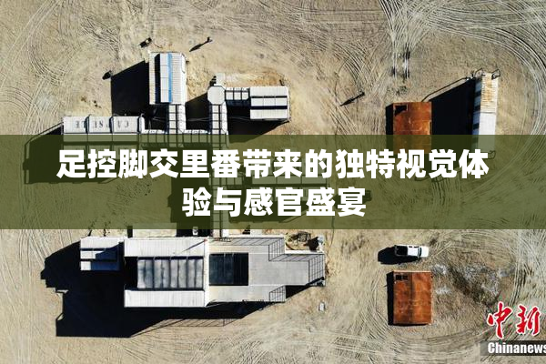 足控脚交里番带来的独特视觉体验与感官盛宴