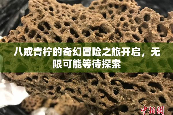 八戒青柠的奇幻冒险之旅开启，无限可能等待探索