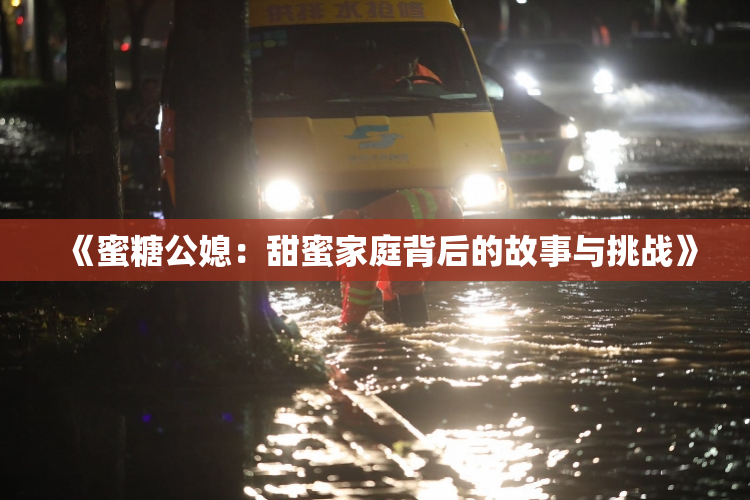 《蜜糖公媳：甜蜜家庭背后的故事与挑战》