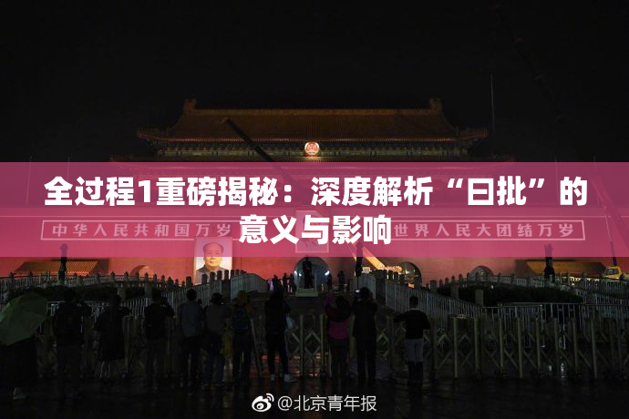 全过程1重磅揭秘：深度解析“曰批”的意义与影响