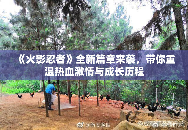 《火影忍者》全新篇章来袭，带你重温热血激情与成长历程