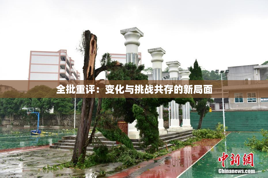 全批重评：变化与挑战共存的新局面