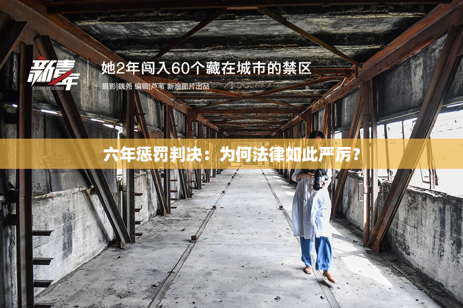 六年惩罚判决：为何法律如此严厉？