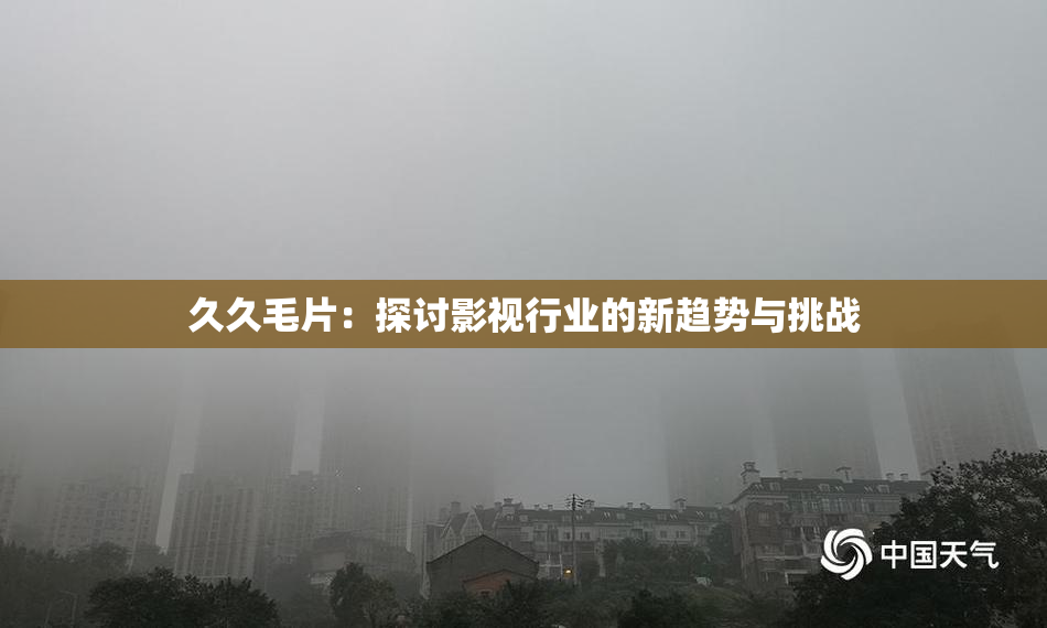 久久毛片：探讨影视行业的新趋势与挑战