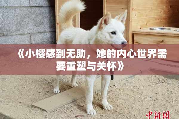 《小樱感到无助，她的内心世界需要重塑与关怀》
