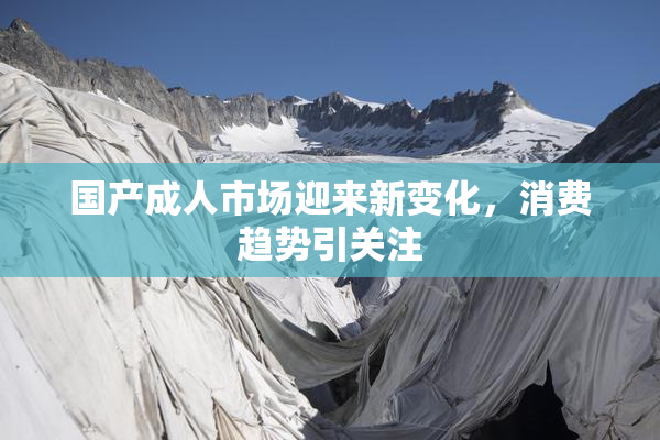 国产成人市场迎来新变化，消费趋势引关注