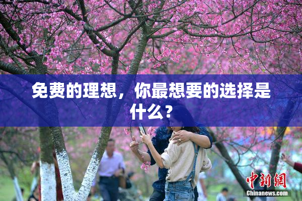 免费的理想，你最想要的选择是什么？