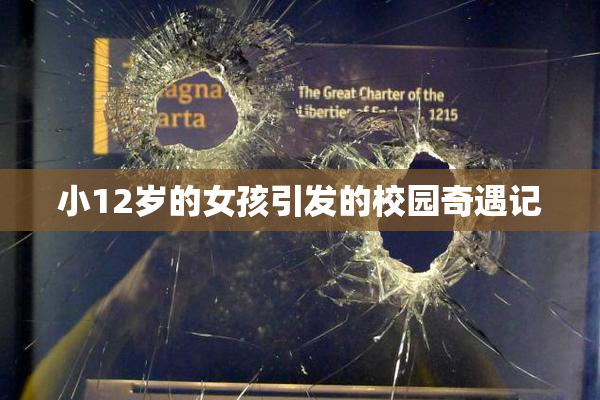 小12岁的女孩引发的校园奇遇记