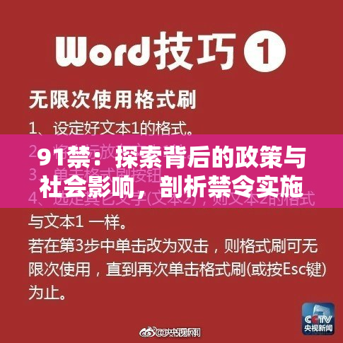 91禁：探索背后的政策与社会影响，剖析禁令实施的必要性和后果