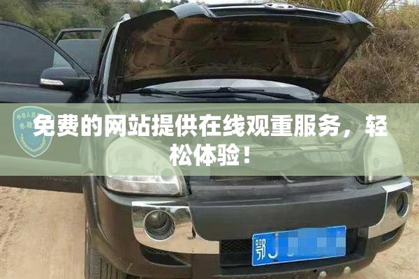 免费的网站提供在线观重服务，轻松体验！