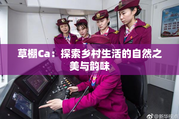 草棚Ca：探索乡村生活的自然之美与韵味
