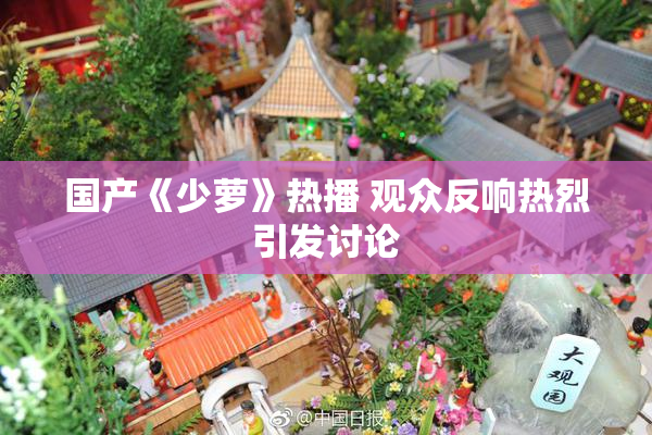 国产《少萝》热播 观众反响热烈引发讨论