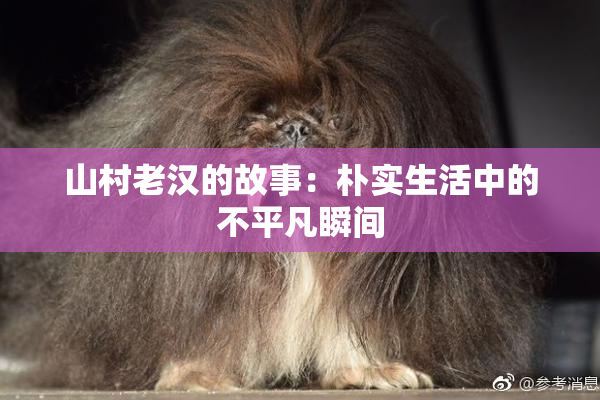 山村老汉的故事：朴实生活中的不平凡瞬间