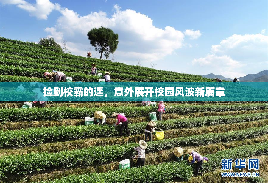 捡到校霸的遥，意外展开校园风波新篇章