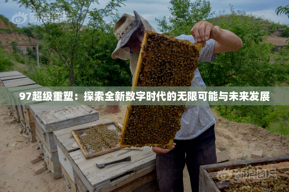 97超级重塑：探索全新数字时代的无限可能与未来发展