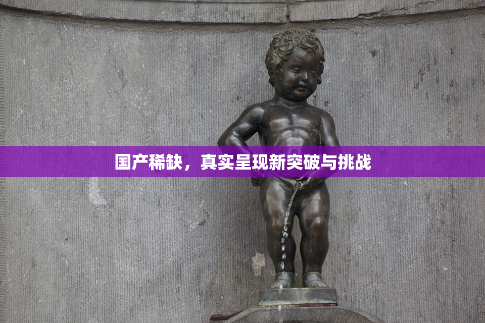 国产稀缺，真实呈现新突破与挑战