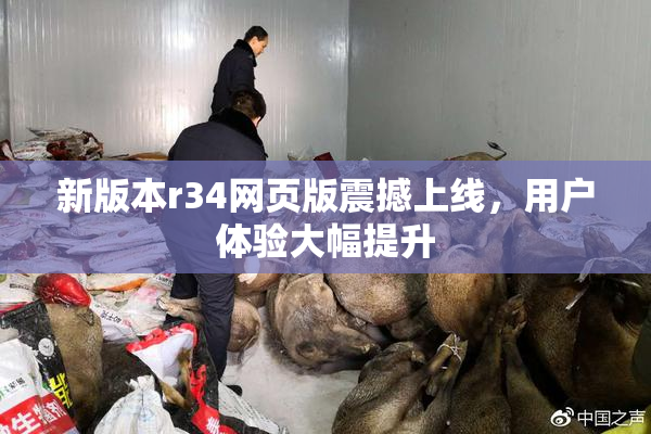 新版本r34网页版震撼上线，用户体验大幅提升