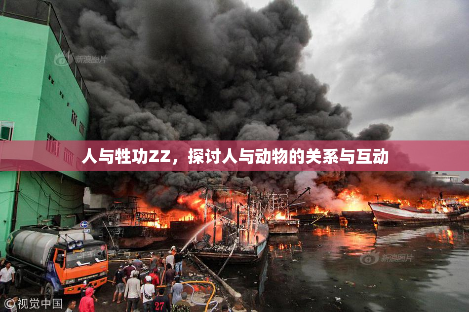人与牲功ZZ，探讨人与动物的关系与互动