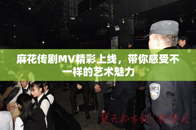 麻花传剧MV精彩上线，带你感受不一样的艺术魅力