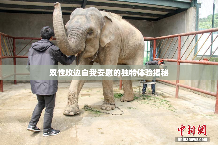 双性攻边自我安慰的独特体验揭秘