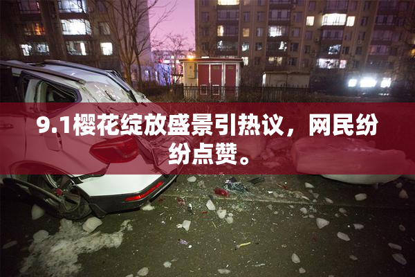 9.1樱花绽放盛景引热议，网民纷纷点赞。