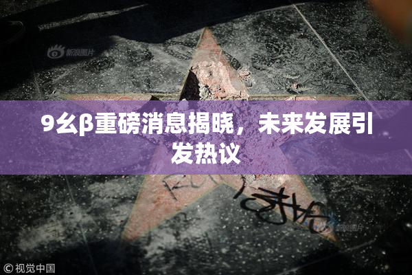 9幺β重磅消息揭晓，未来发展引发热议