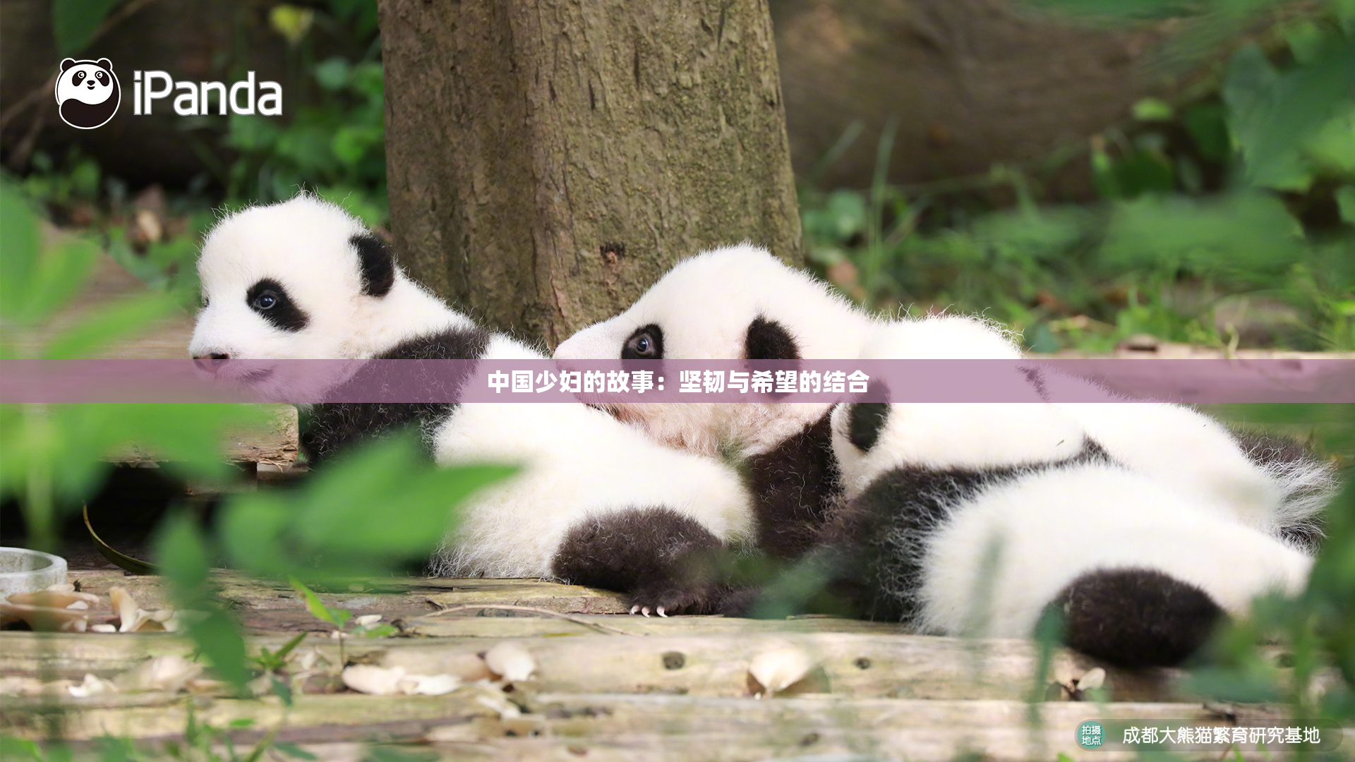 中国少妇的故事：坚韧与希望的结合