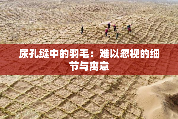 尿孔缝中的羽毛：难以忽视的细节与寓意