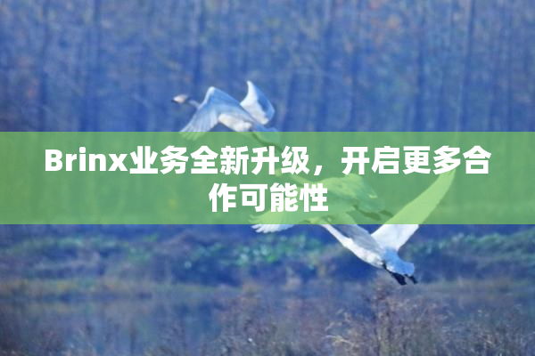 Brinx业务全新升级，开启更多合作可能性