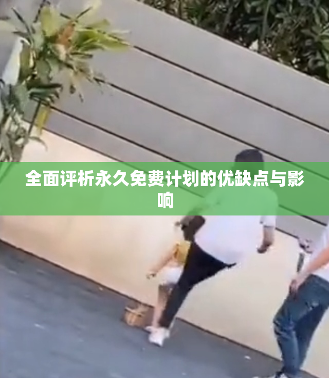 全面评析永久免费计划的优缺点与影响