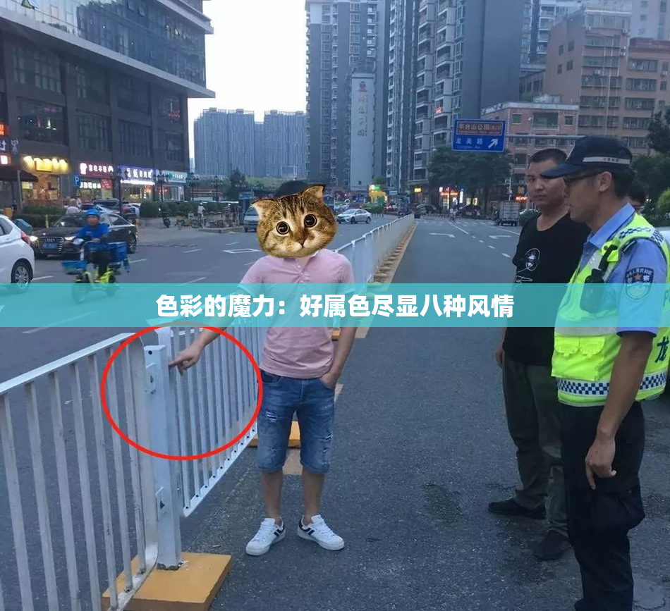色彩的魔力：好属色尽显八种风情