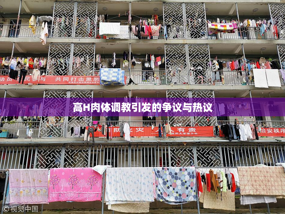 高H肉体调教引发的争议与热议