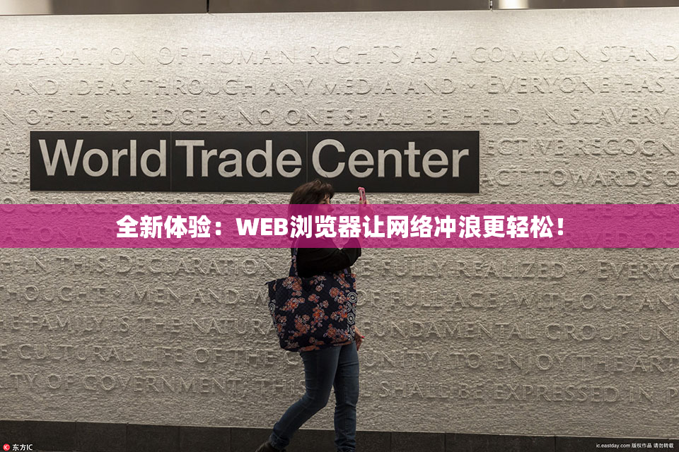 全新体验：WEB浏览器让网络冲浪更轻松！
