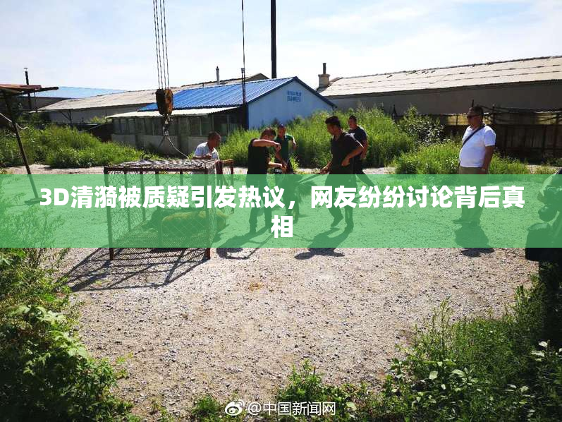 3D清漪被质疑引发热议，网友纷纷讨论背后真相