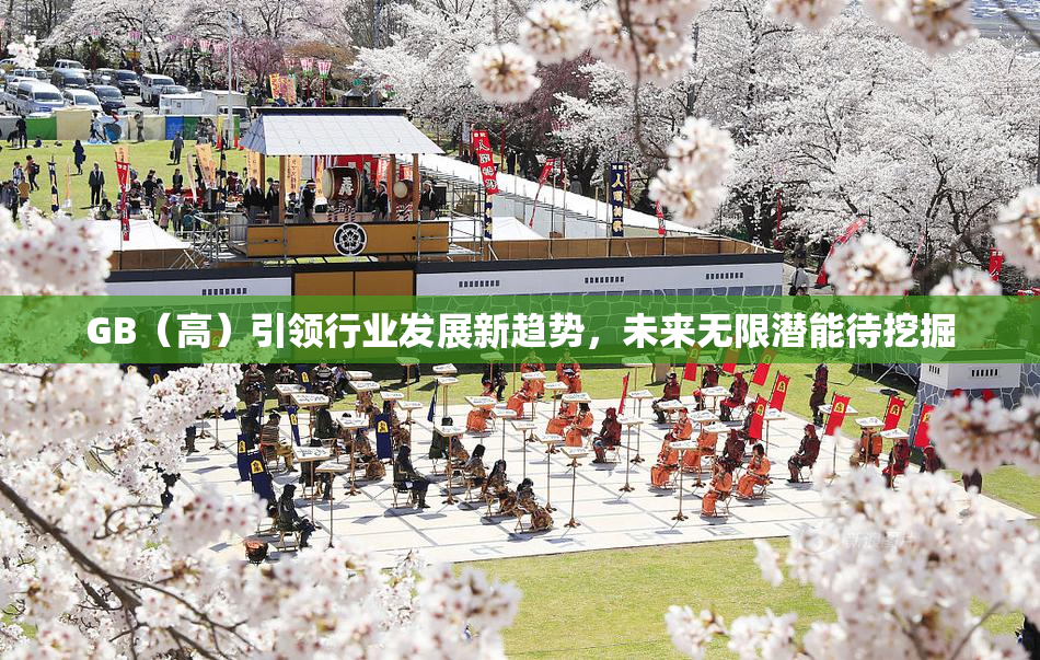 GB（高）引领行业发展新趋势，未来无限潜能待挖掘