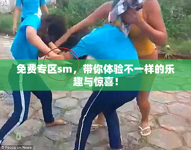 免费专区sm，带你体验不一样的乐趣与惊喜！