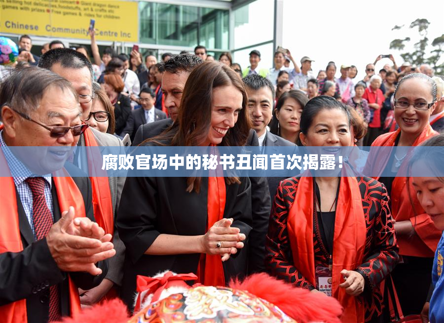 腐败官场中的秘书丑闻首次揭露！
