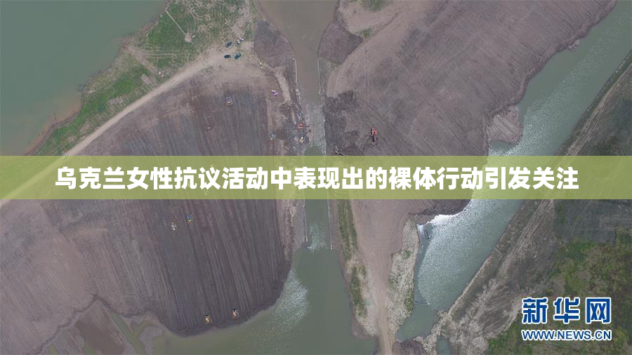 乌克兰女性抗议活动中表现出的裸体行动引发关注