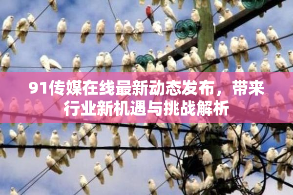 91传媒在线最新动态发布，带来行业新机遇与挑战解析