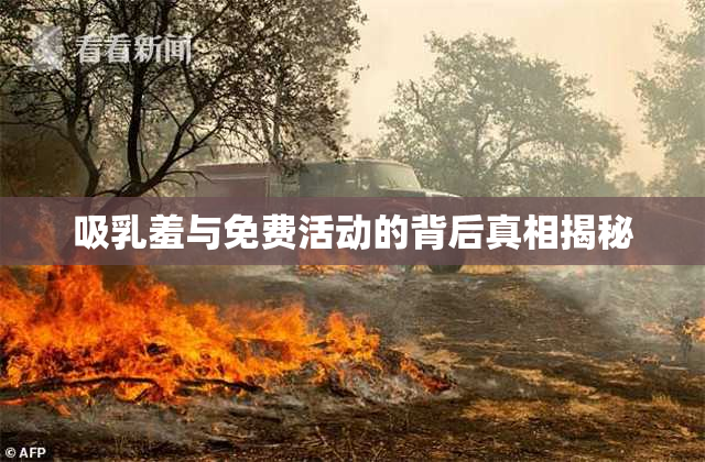 吸乳羞与免费活动的背后真相揭秘