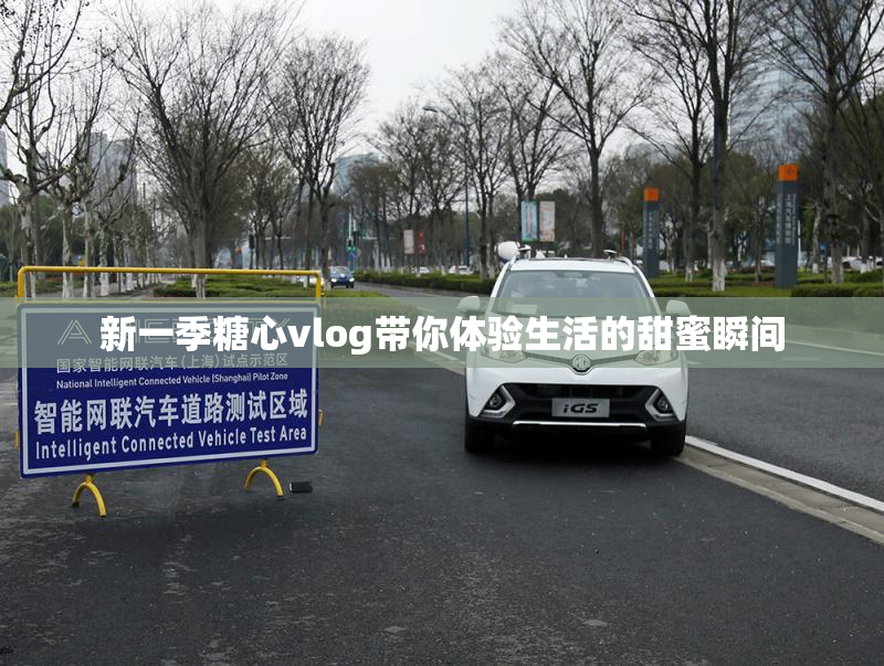 新一季糖心vlog带你体验生活的甜蜜瞬间